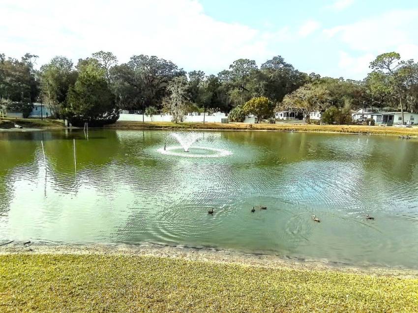 3150 Ne 36th Ave a Ocala, FL Mobile or Manufactured Home for Sale